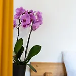 Dom Krawca - Pod Chojnikiem Apartment *