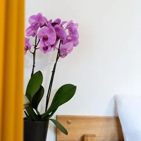 Dom Krawca - Pod Chojnikiem Apartmán *