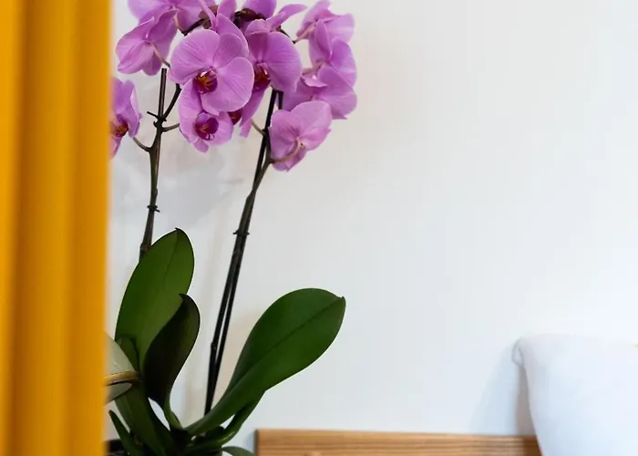 Dom Krawca - Pod Chojnikiem Apartment *